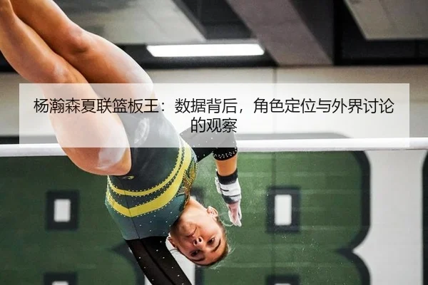 yang-han-sen-xia-lian-lan-ban-wang-shu-ju-bei-hou-jue-se-ding-wei-yu-wai-jie-tao-lun-de-guan-cha-2-766.jpg
